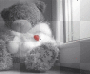 orso