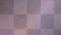 fondo hojas secas