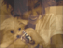 Miley and her Puppy