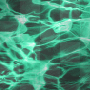 BG NEW Teal Water Animation
