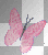 petit pinky papillon