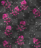 Black Pink Glitter Skulls