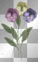 ☺flowers:)