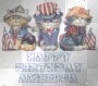 kitty-happy b-day USA!!!