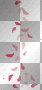 Falling Petals