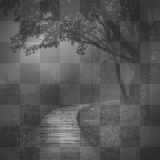 lonely park