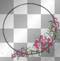 frame circle roses frame circle roses