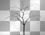 tree in winter tree in winter
