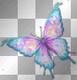 Animation  Butterfly