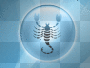 SCORPIONE