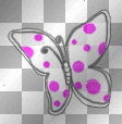 Boorboletta