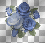 ROSAS GLITER