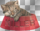 Killerkatze