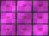 animated hearts blue pink