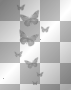 silver butterflies