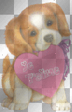 Chien