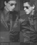 black shahrukh, bea.srk-fan