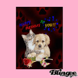 happy bday