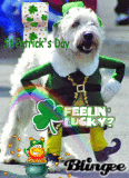 feelin lucky ehhh