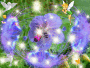 awakening of the spring 