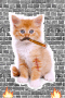 bad cat