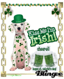 st patricks day
