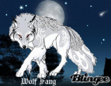 Wolf Fang