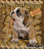 Ahh... But I Wanna Go Now