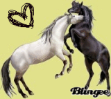 equideow