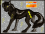 rocketdog12