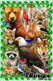 Animaux de la forêt