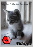 kat luv roks!!