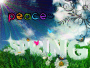my spring picture