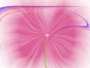 GETTING TO THE HEART OF THE FLOWER