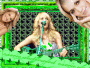 Carrie Underwood