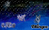 Night sky secrets
