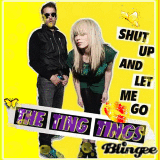 The Ting Tings