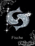 Fische