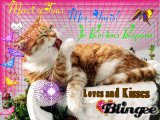Merci mes Amis de Blingee! Merci mes Amis de Blingee!