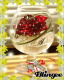 Rose In Cup