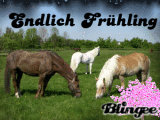 Frühling !