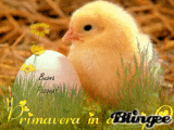 è primavera