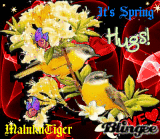 IT'S SPRING. MALUKUTIGER