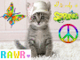 seasonalwebkinz