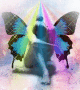 Fairy Fairy