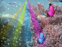 ArCoBaLeNo