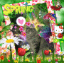 PEETEY´S  SPRING