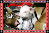 LOVE KNOW'S NO BOUNDS LOVE KNOW'S NO BOUNDS
