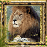 Leo, the Lion Leo, the Lion
