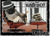 bad boy